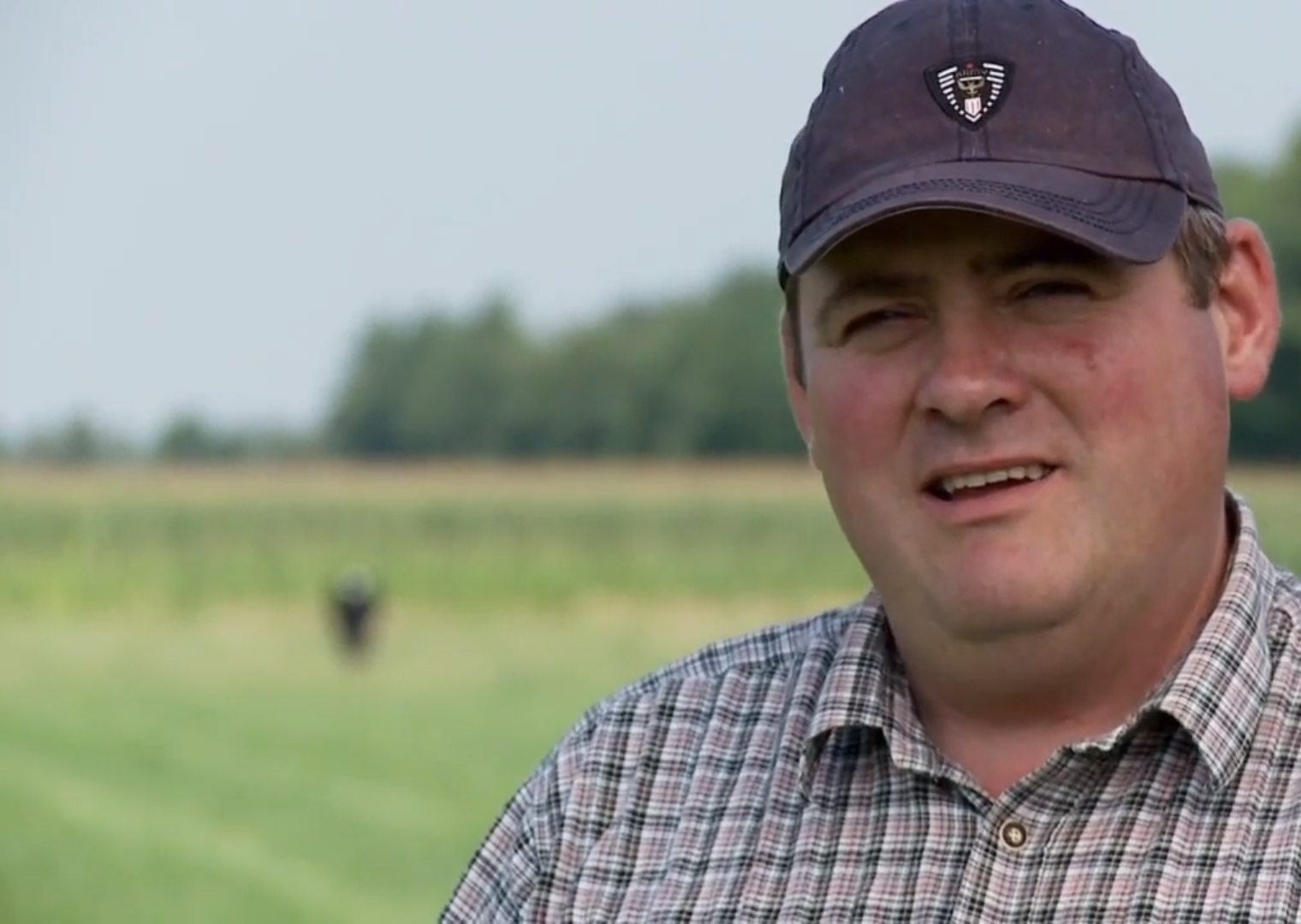 Nutrifibre thumbnail.jpg